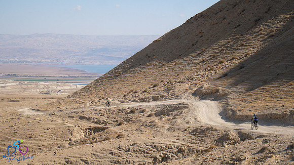 HL_WOL24-238