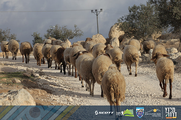 RT_Drorun24-0150