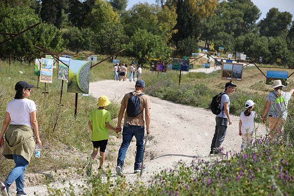 TF_Gezer_hm-24-0543