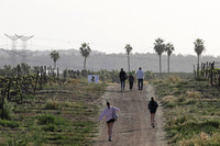 runi_Gilad_ 250404_8