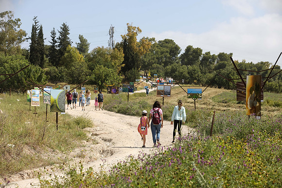 TF_Gezer_hm-24-0508