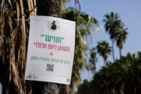 runi_Gilad_ 250404_12
