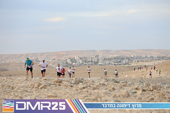 TF_DMR25-0241