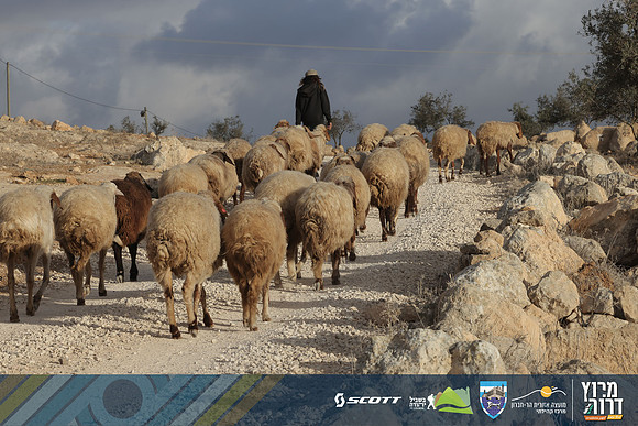 RT_Drorun24-0148