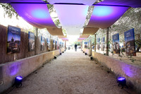 TF_F-estival-22-0626