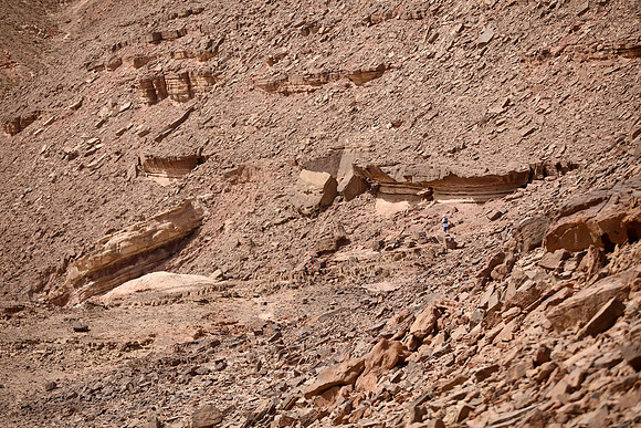 TF_esrp_070521-192