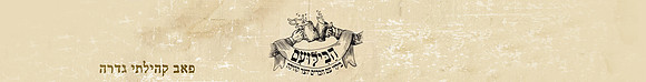 סטריפ עליון לגלריה