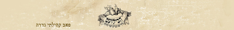 סטריפ עליון לגלריה