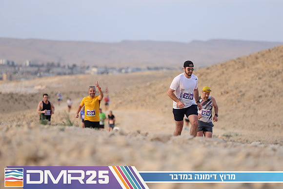 TF_DMR25-0446