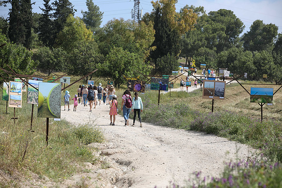 TF_Gezer_hm-24-0516