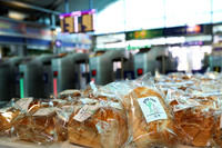 TFeder-IRW-220825-040