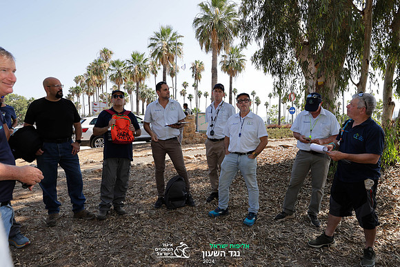 TFeder_ILC-ITT24-1246