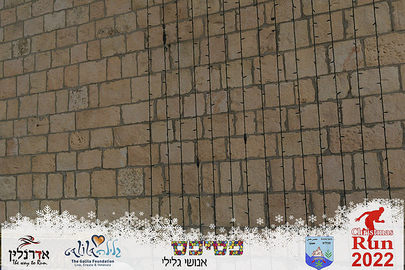 Rivo_chr22-4484