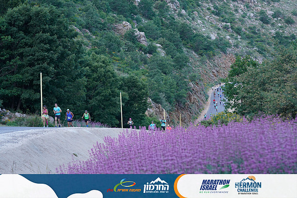 IG_HCH25-0280