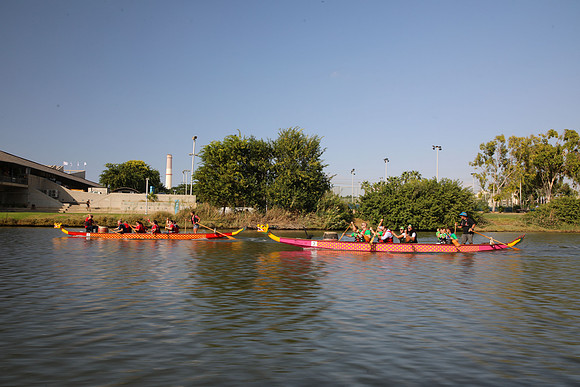 TF_dbd-201022-1336