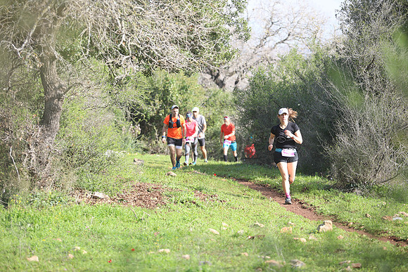 TF_DNF22-2701