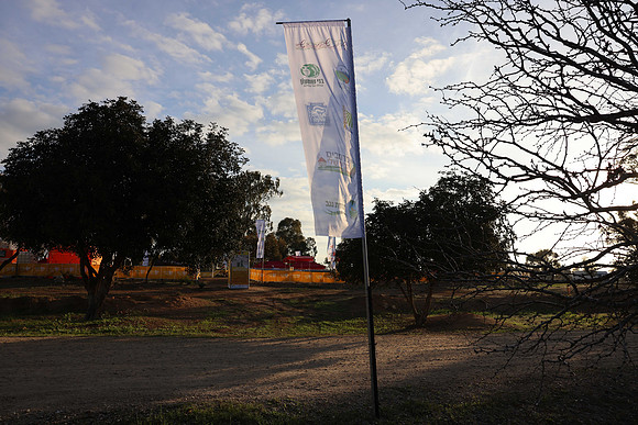 GK_DAR25-b-005