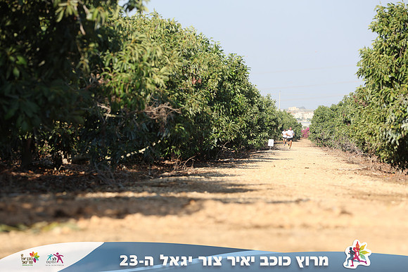 TF_kytir24-0354