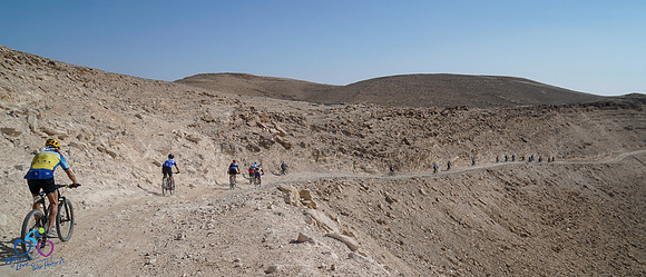 HL-d2_WOL24-026