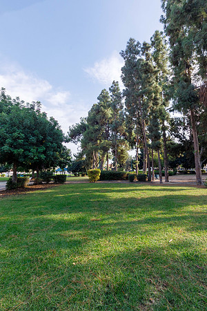 TF_Gedera_Parks-12