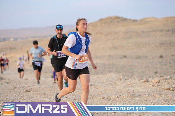 TF_DMR25-0384